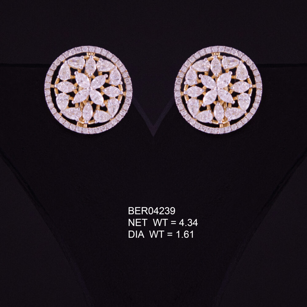 BER04239