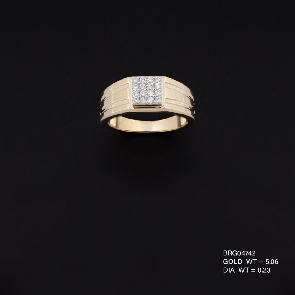 BRG04742
