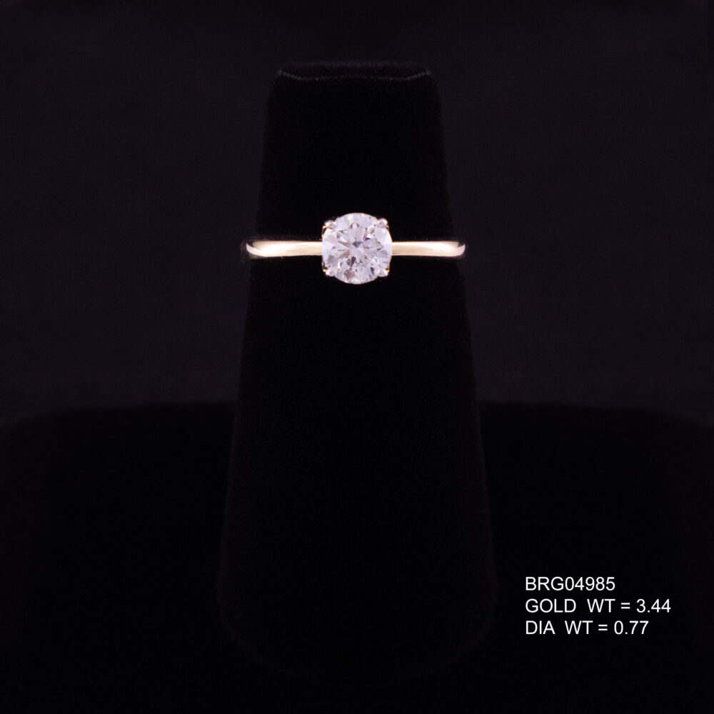 BRG04985